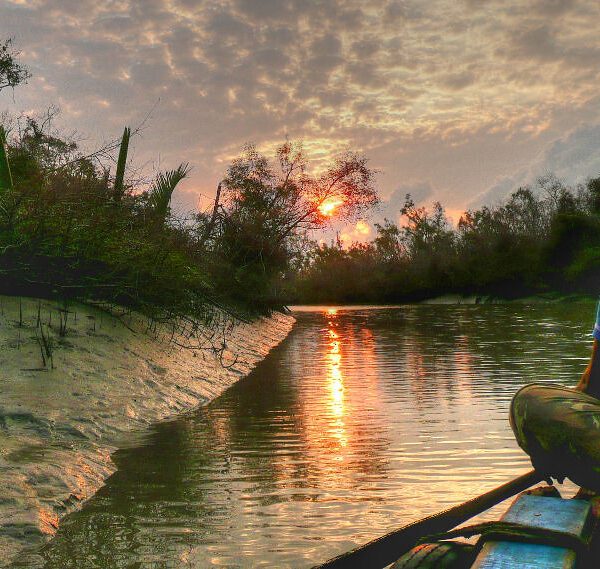 A man sitting on a boat during sunset in the Sundarbans river surrounded by mangrove fores