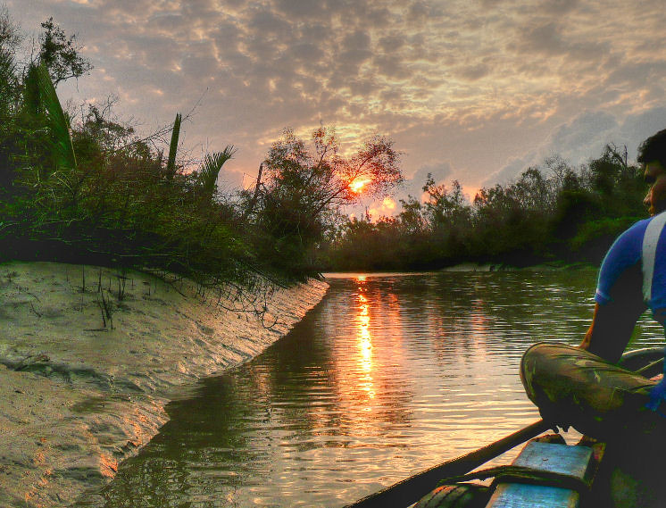 A man sitting on a boat during sunset in the Sundarbans river surrounded by mangrove fores