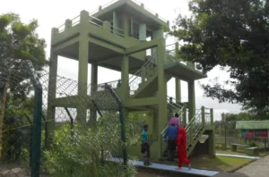Sudhanyakhali Watch Tower in Sundarban overlooking mangrove forest