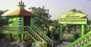 Bonnie Camp watch tower inside Sundarban dense mangrove forest